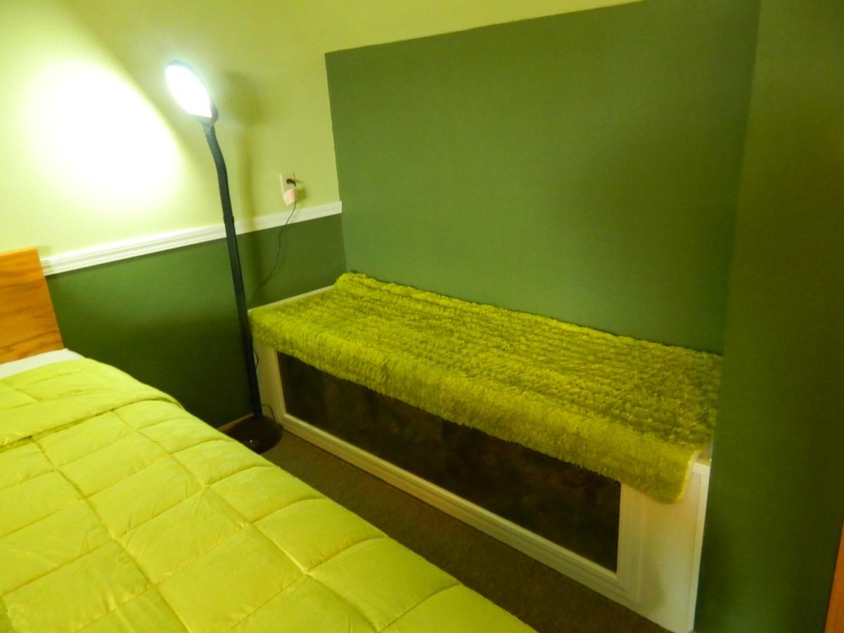 ליווינגסטון Country Motor Inn מראה חיצוני תמונה
